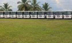 New NTA Buses